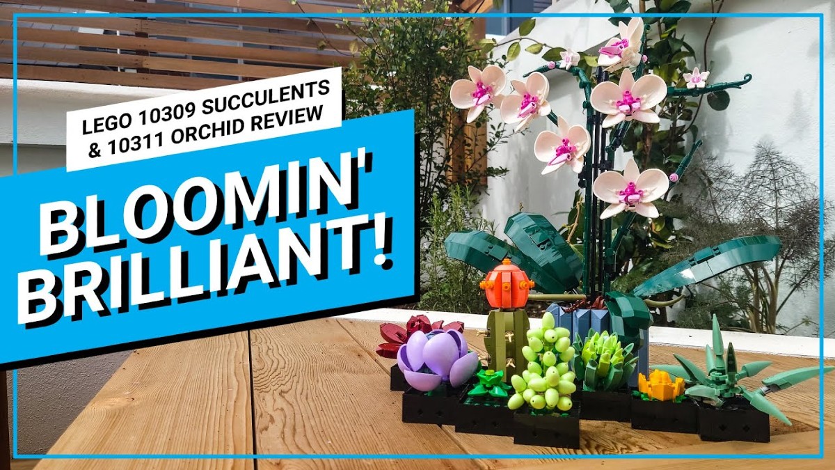 Video review: LEGO Creator Expert Botanical Collection 10309 Succulents and 10311 Orchid