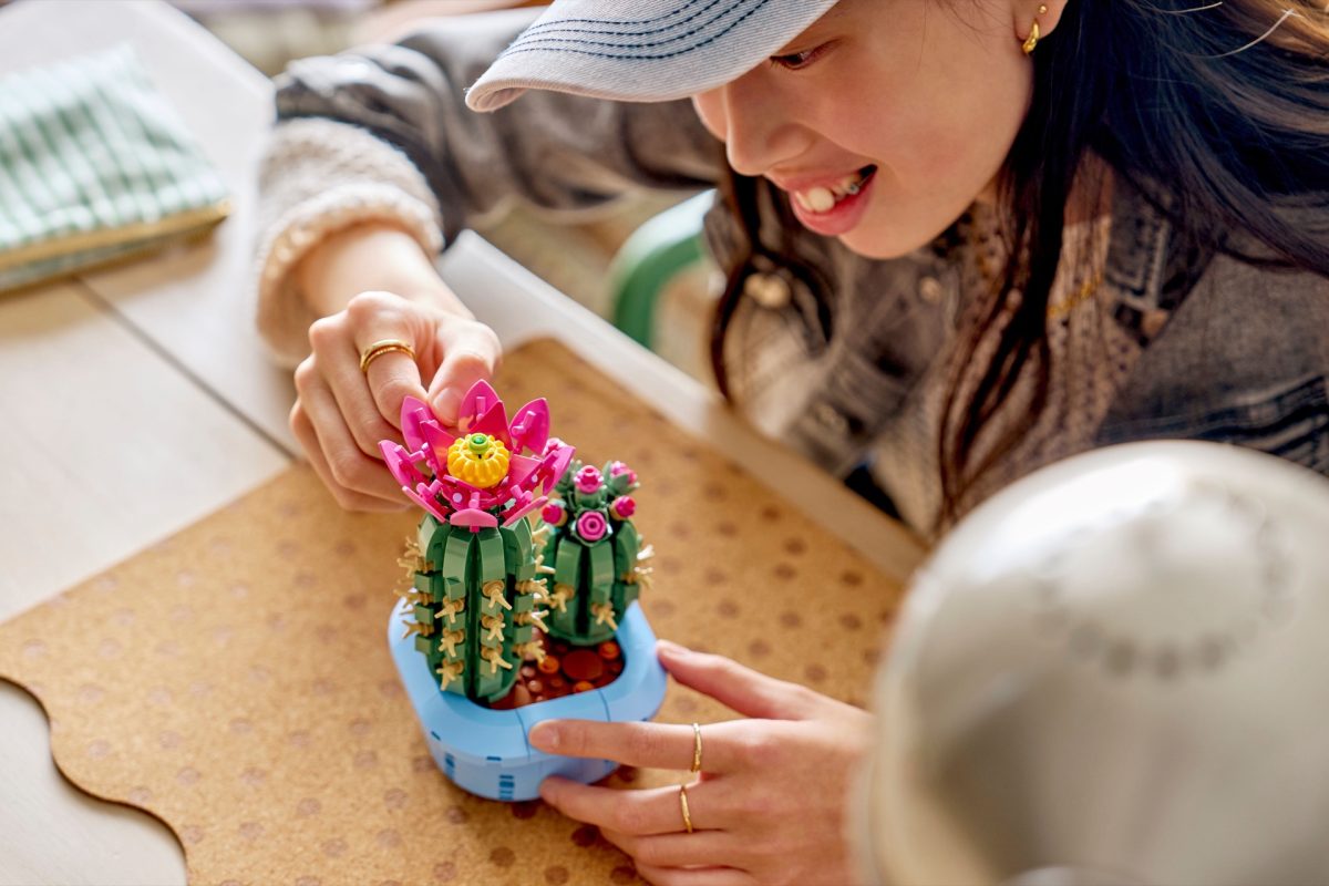LEGO Botanicals 11509 Flowering Cactus 6 1200x800