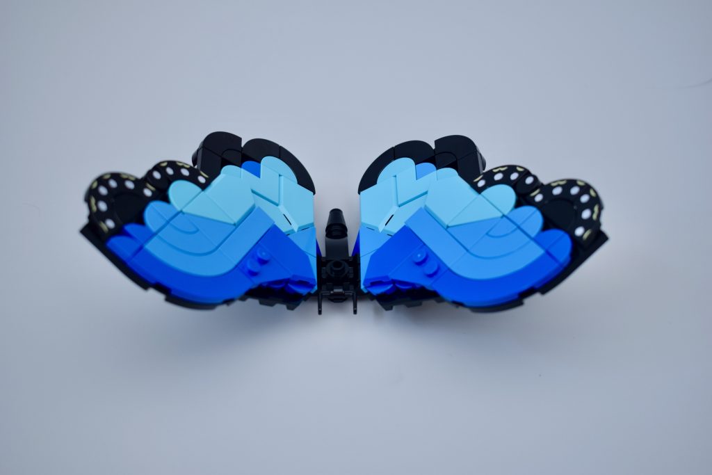 LEGO Ideas 21342 The Insects Collection Review 57 1024x683