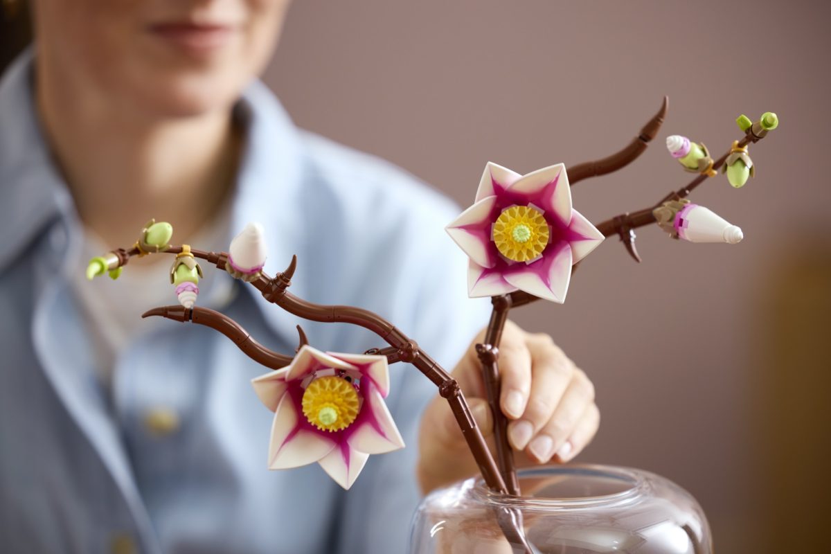 LEGO Botanicals 11510 Magnolia Branches 13 1200x800