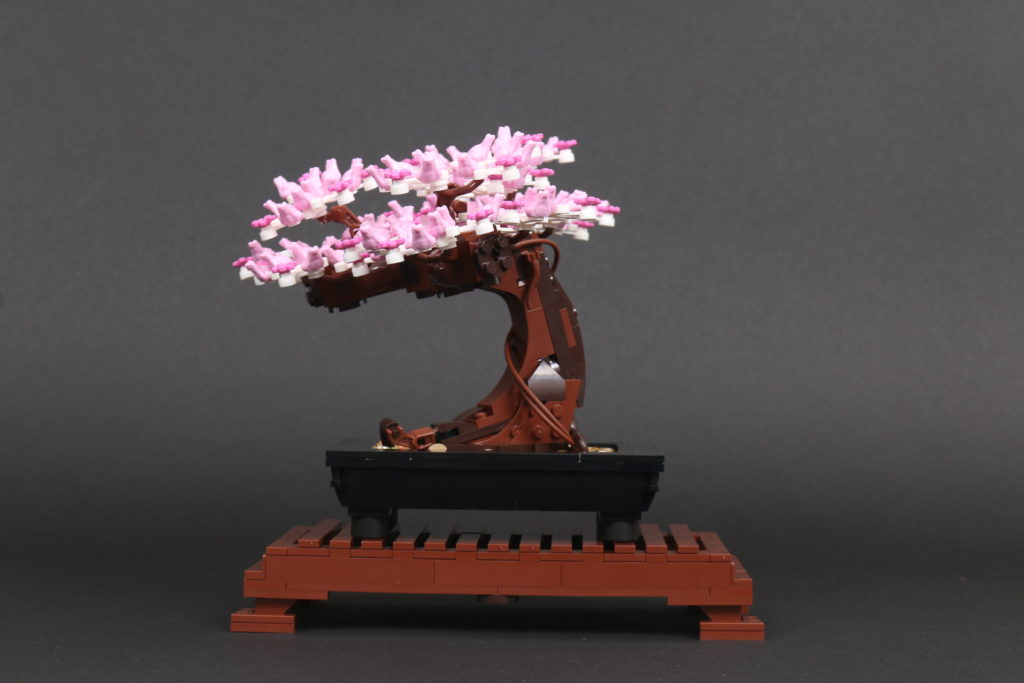 LEGO Botanical Collection 10281 Bonsai Tree review 42