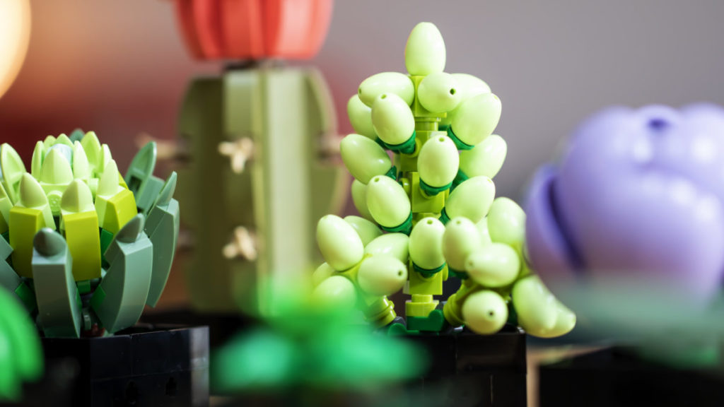 LEGO The Botanical Collection 10309 Succulents 6 1024x576
