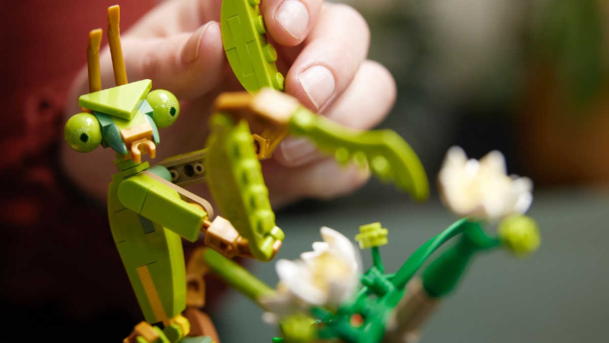 Five perfect pairings for LEGO Ideas 21342 The Insect Collection 