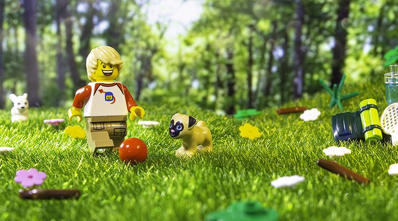 Brick Pic of the Day: Spring time