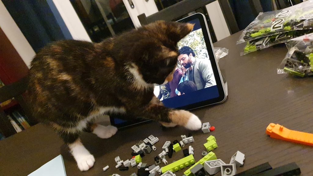 LEGO Kittens Brick Fanatics 2