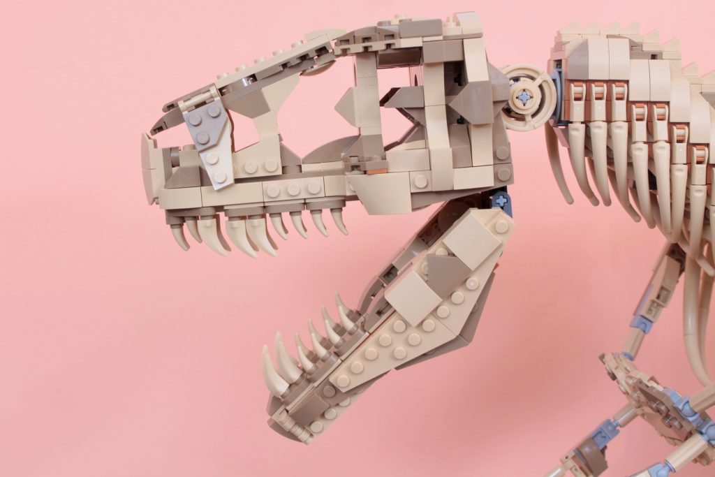 LEGO Jurassic Park 76968 Dinosaur Fossils Tyrannosaurus rex review 3 1024x683