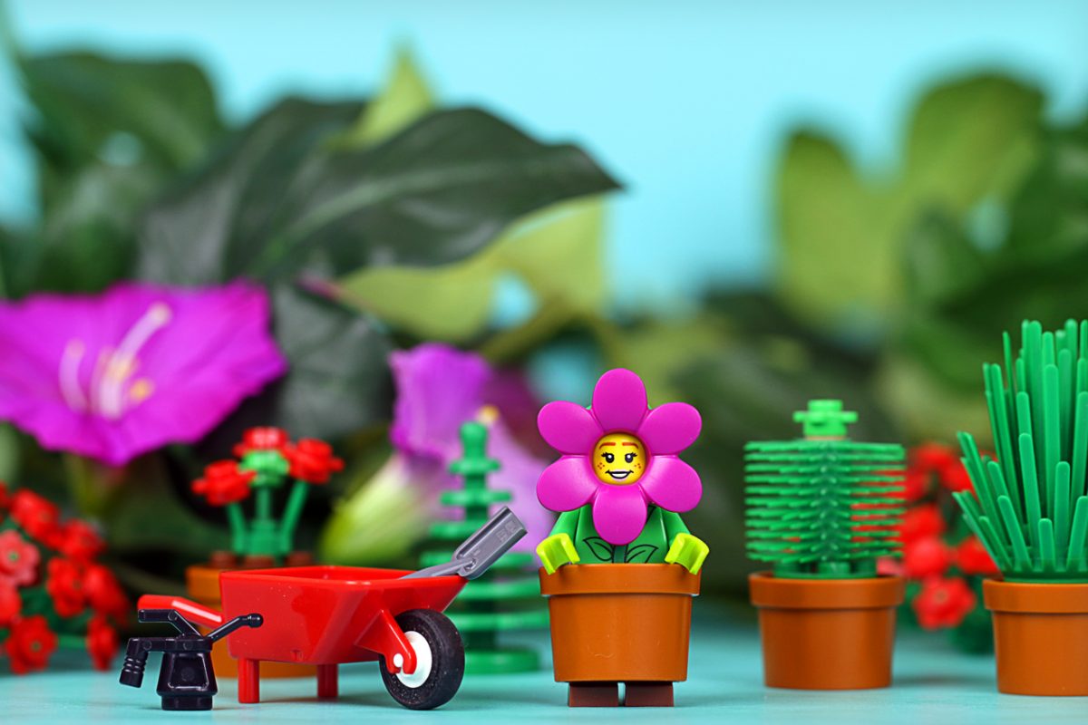 Brick Pic of the Day: Putting down roots
