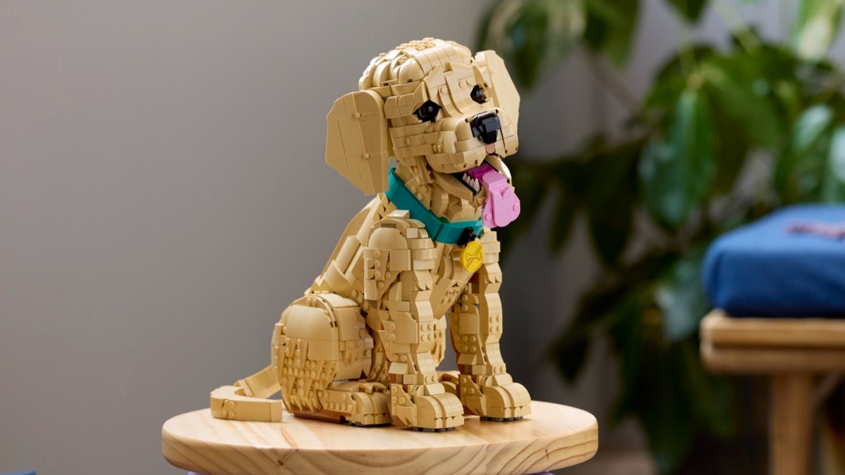 LEGO Icons 11384 Golden Retriever Puppy officially revealed