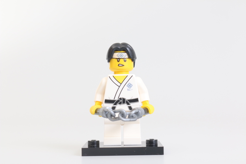 LEGO Collectible Minifigures Series 20 review 48