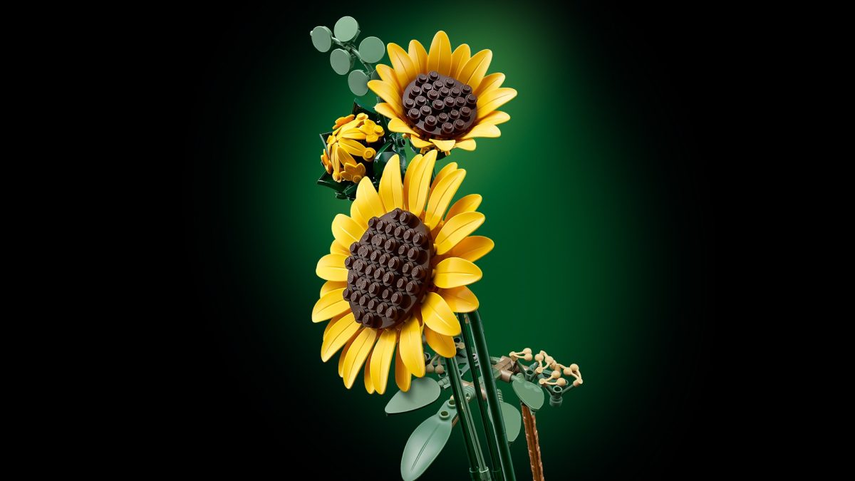 LEGO Botanicals 11502 Sunflower Bouquet 19 1200x675