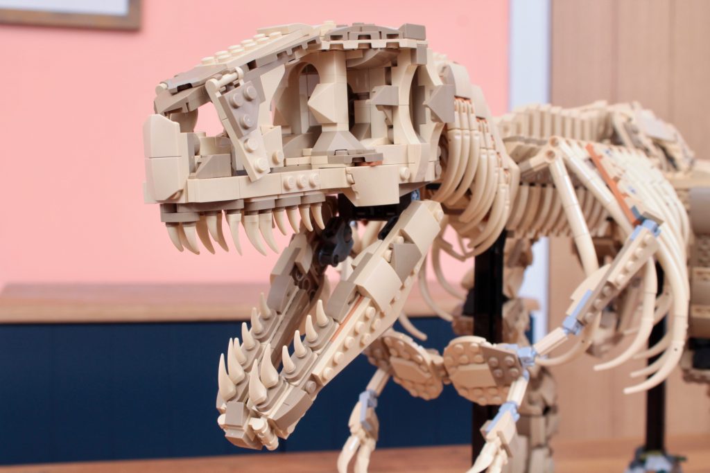 LEGO Jurassic Park 76968 Dinosaur Fossils Tyrannosaurus rex review 7 1024x683