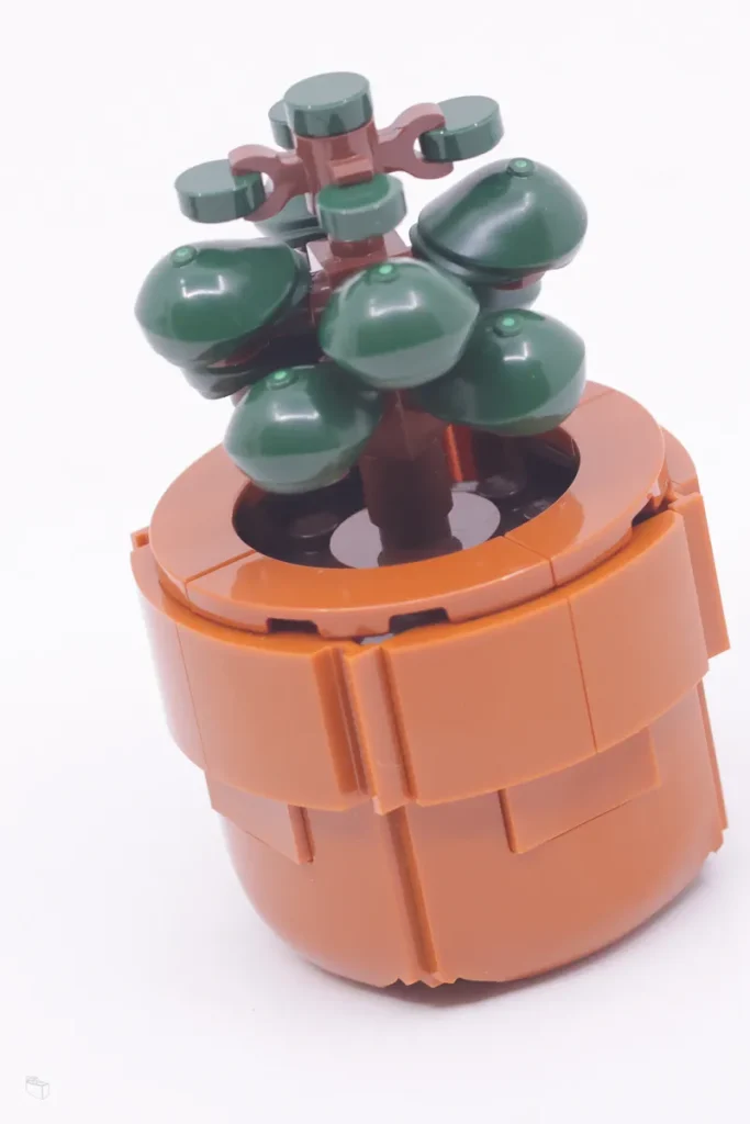 rambling brick review 10329 tiny plants 683x1024