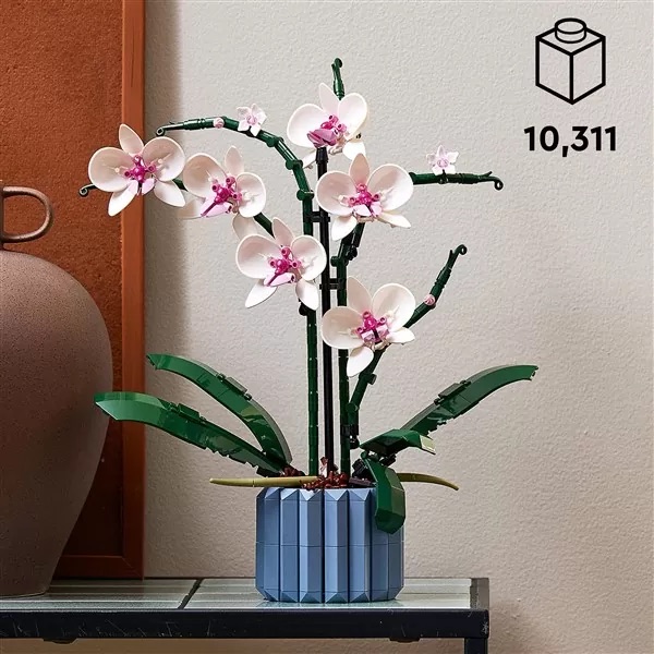 10311 Orchid 3