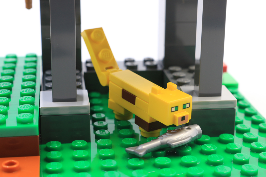 PN6