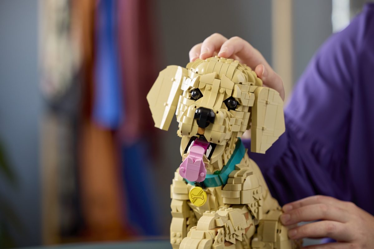 LEGO Icons 11384 Golden Retriever Puppy 19 1200x800