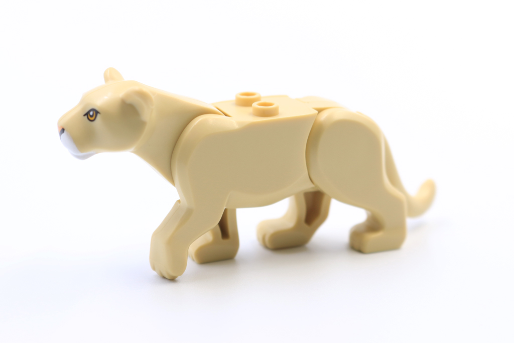 Lioness1