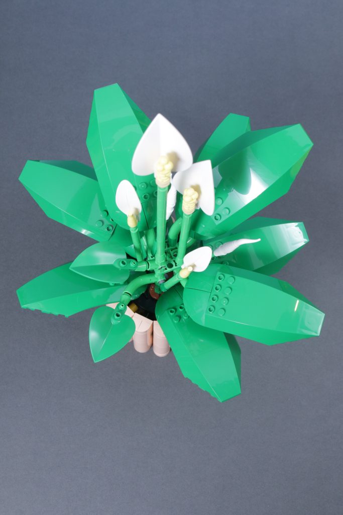 LEGO Botanicals 11501 Tulip Bouquet 11509 Flowering Cactus 11508 Daisies 11504 Peace Lily review 22 683x1024