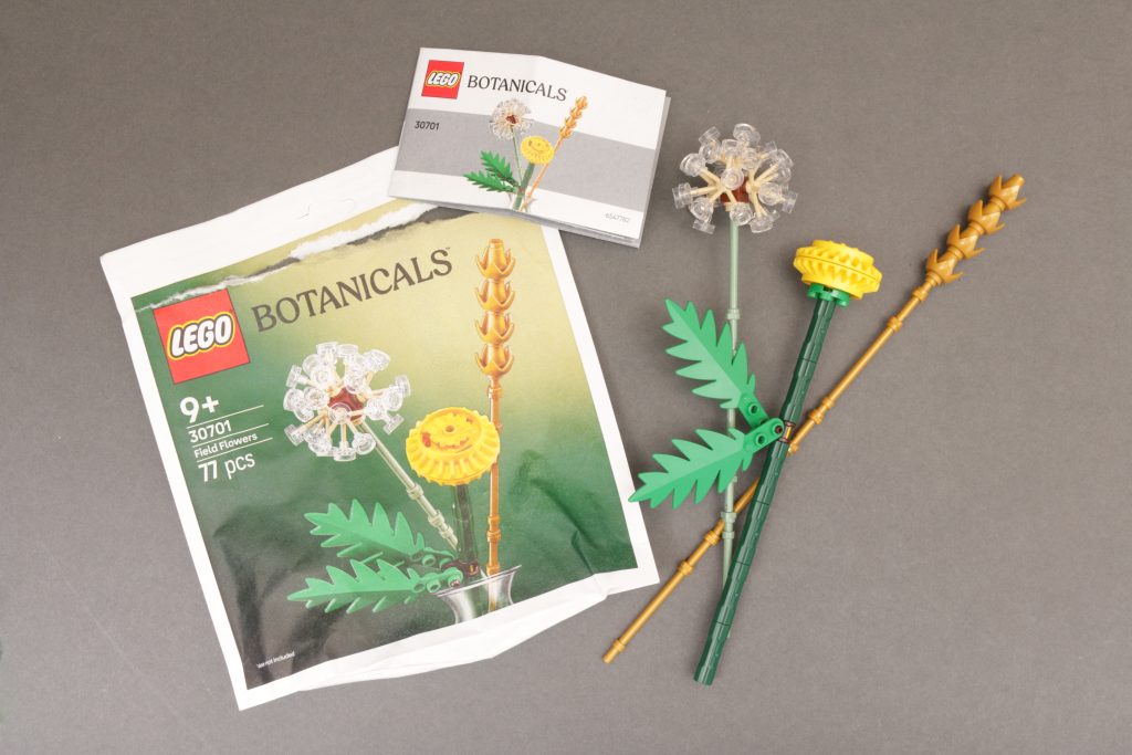 LEGO Botanicals 30701 Field Flowers review 5 1024x683