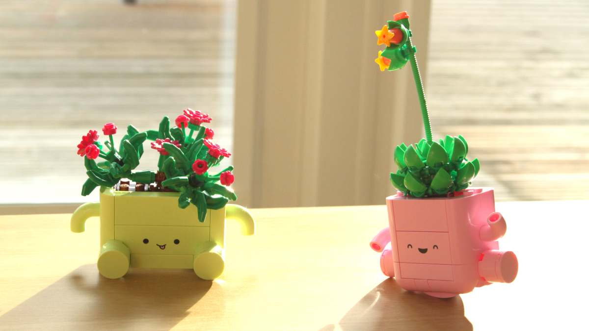 LEGO Botanicals 11506 Rocking Plants is the ideal sequel set 