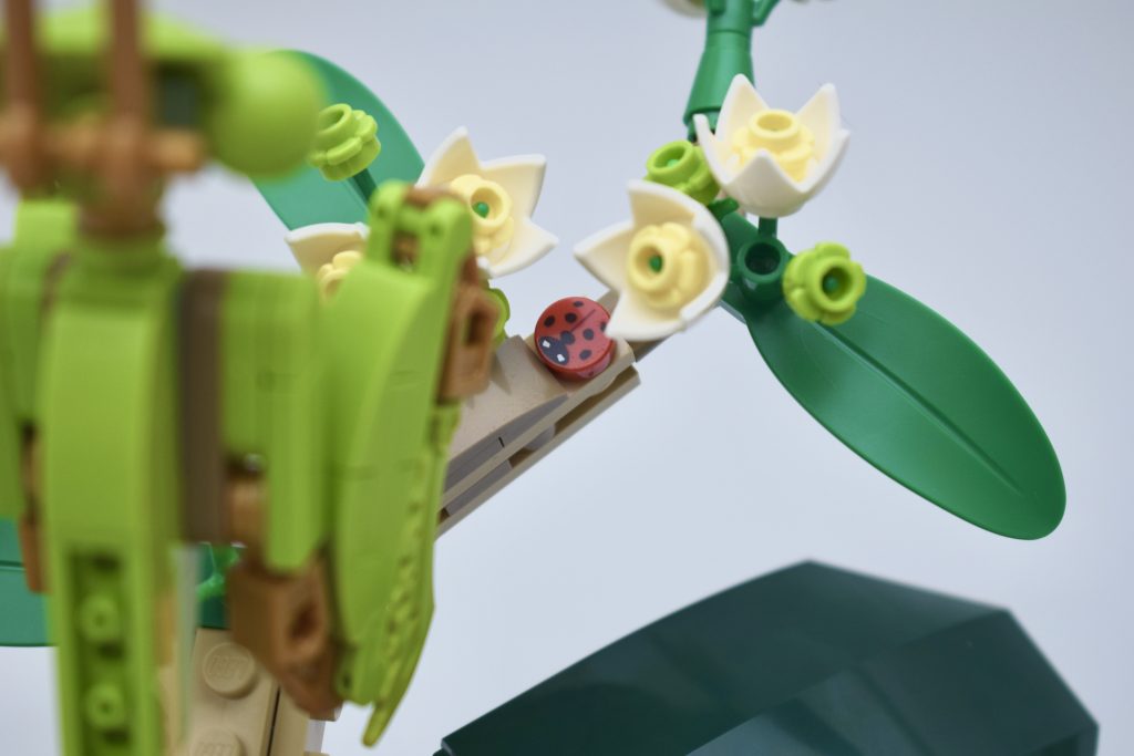 LEGO Ideas 21342 The Insects Collection Review 23 1024x683
