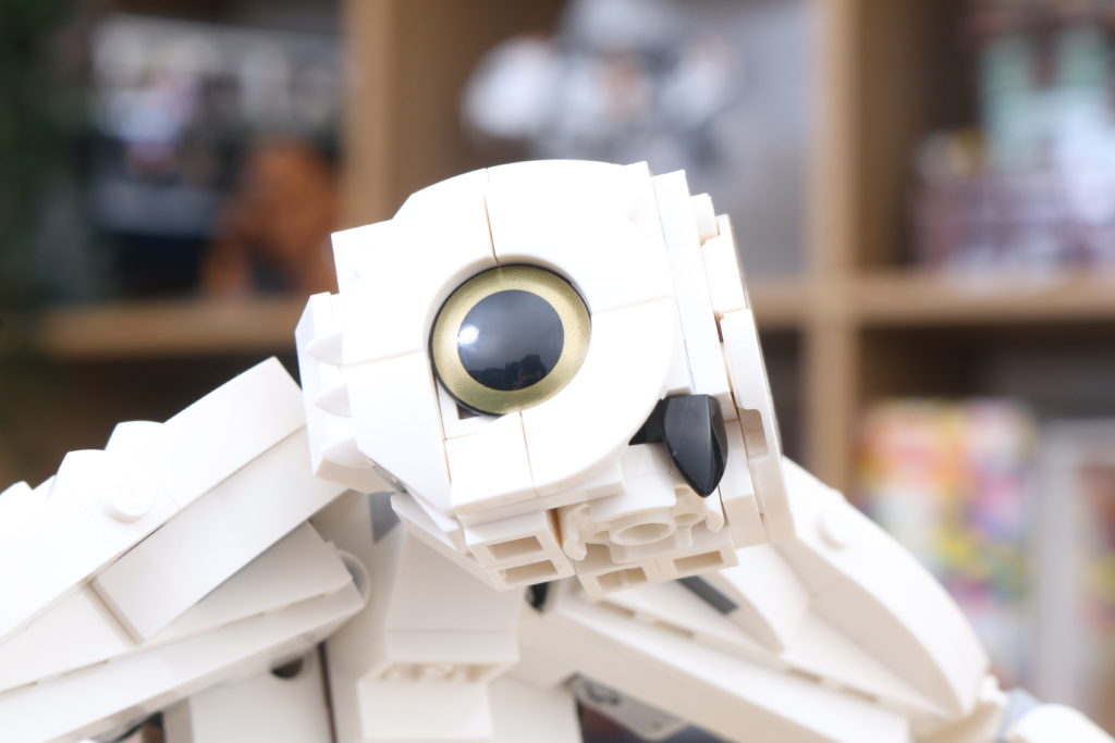 LEGO Harry Potter 75979 Hedwig review 43