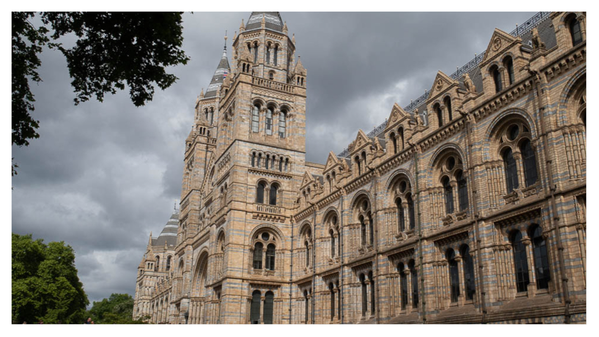 LEGO pop up store opens in Natural History Museum