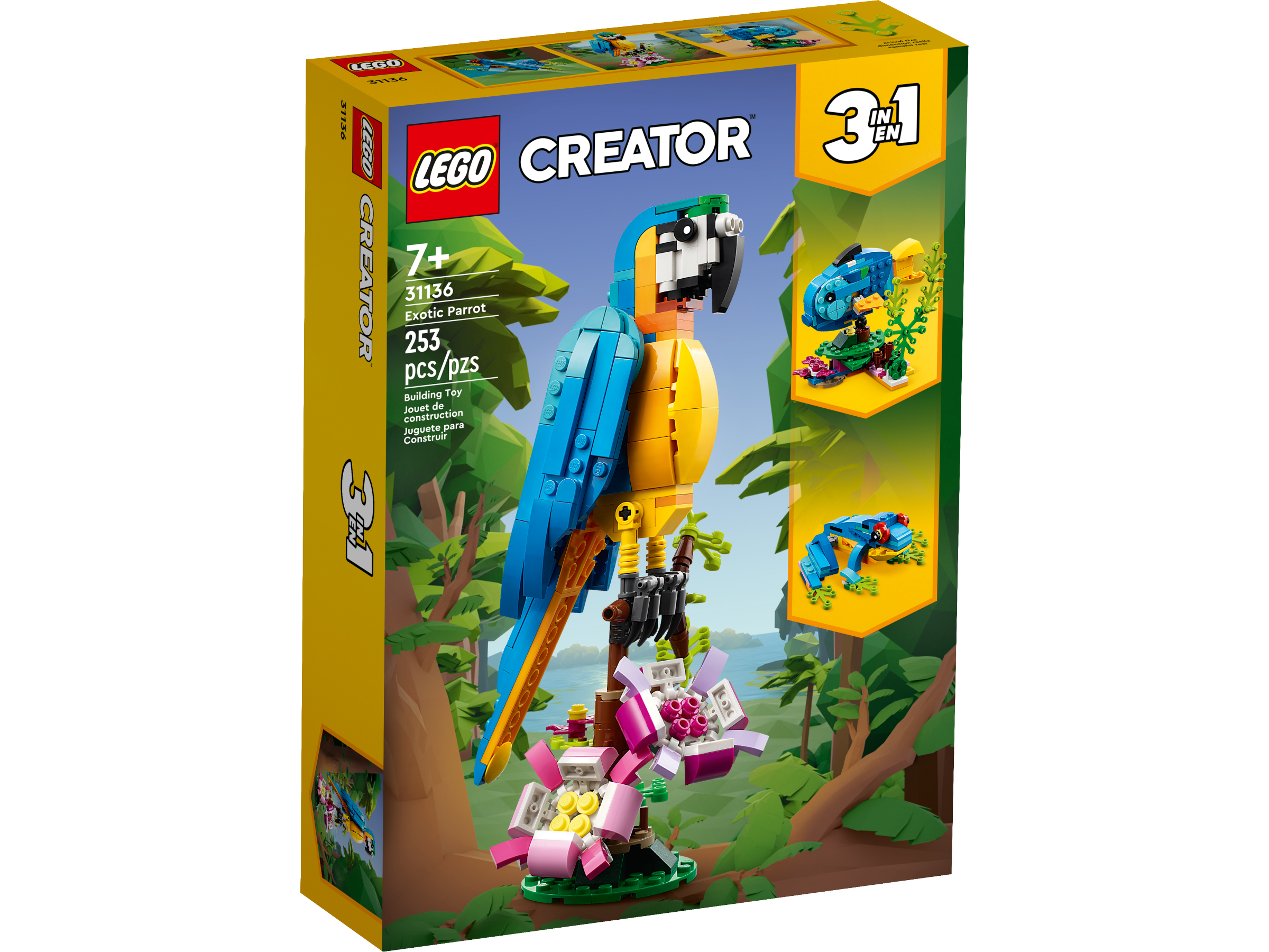 31136 Exotic Parrot 1
