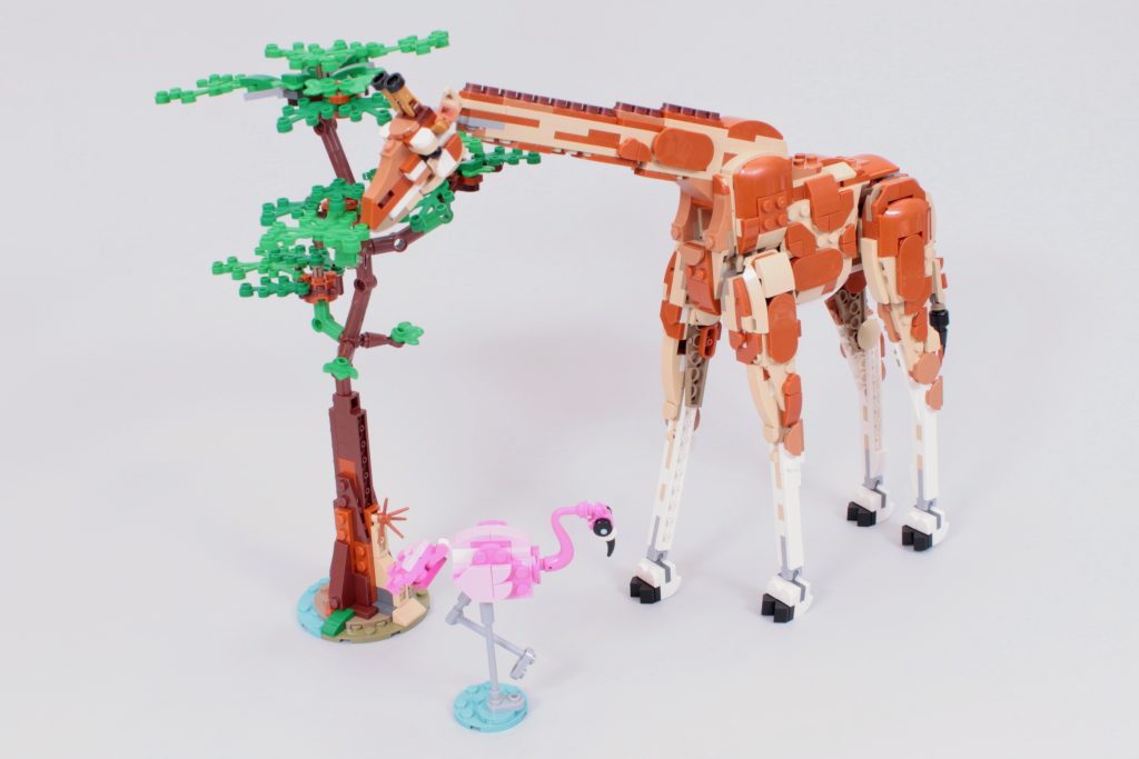 LEGO Creator 3 in 1 31150 Wild Safari Animals review 4 1024x683