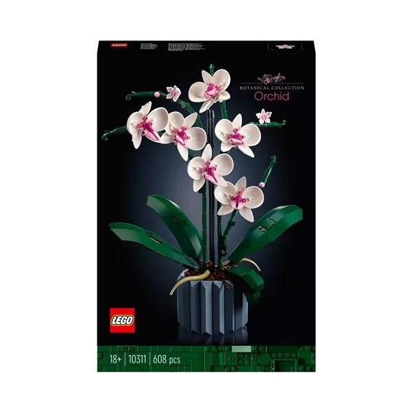 10311 Orchid 2