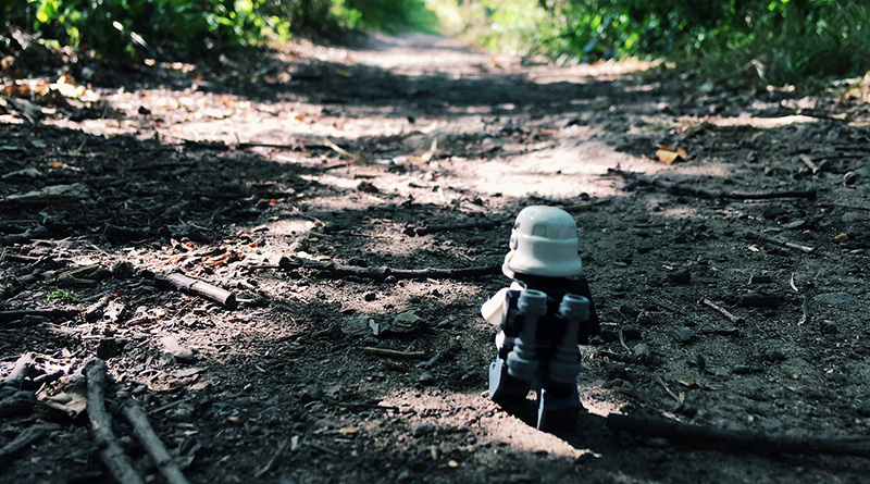 Brick Pic of the Day: Trooping