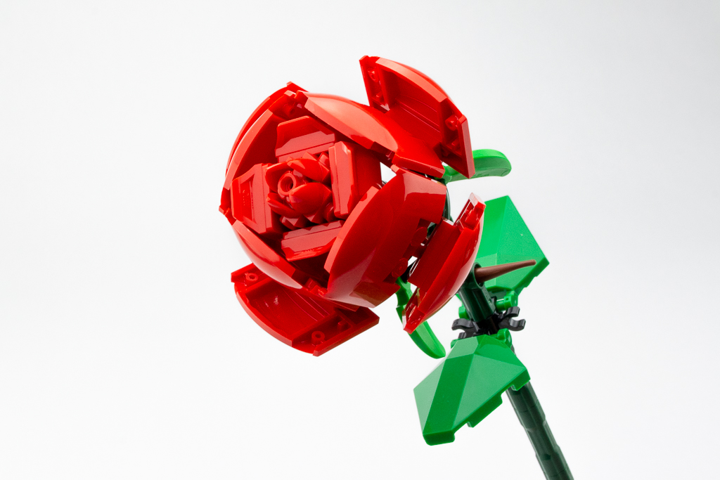 LEGO Review Roses 12