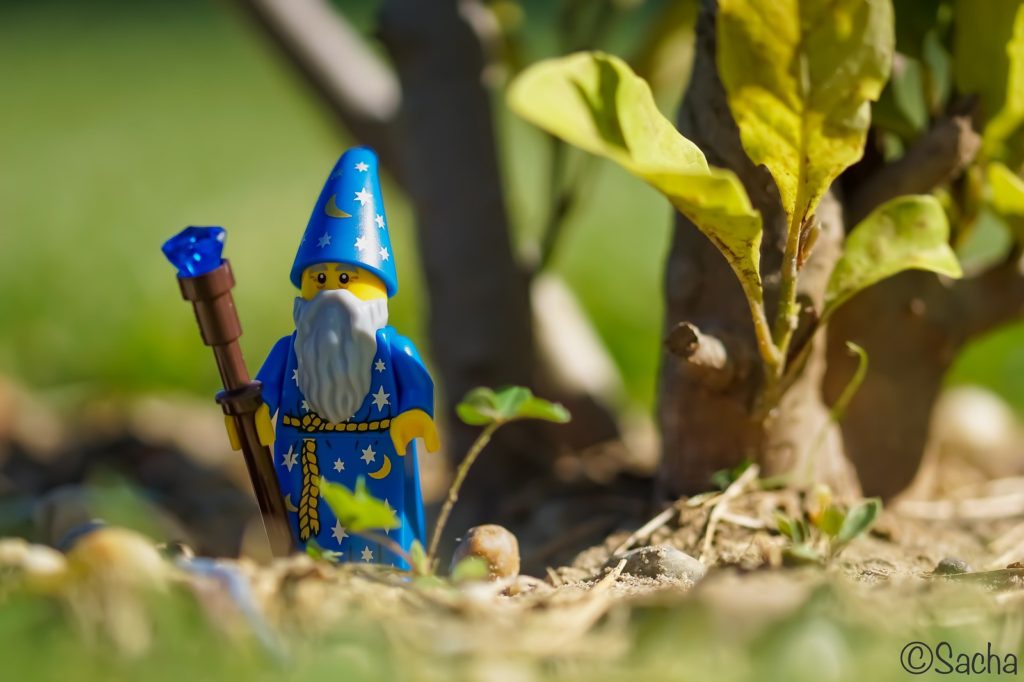 Brick Pic of the Day: Mage of the Enchanted Forest